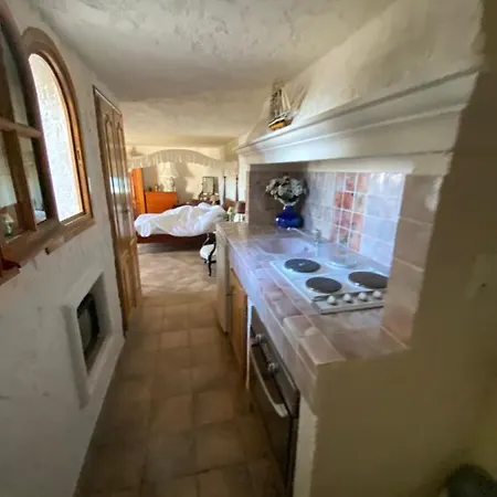 Somptuous Exotic In * カンヌ