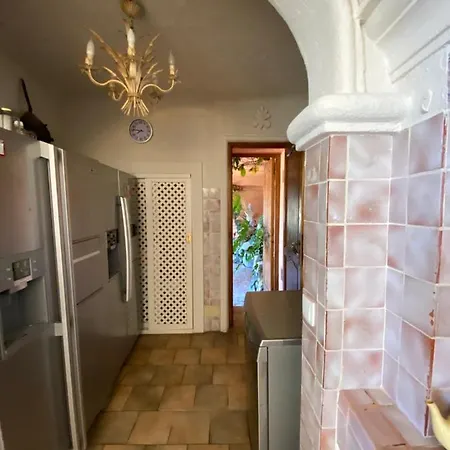 Somptuous Exotic In Villa Cannes