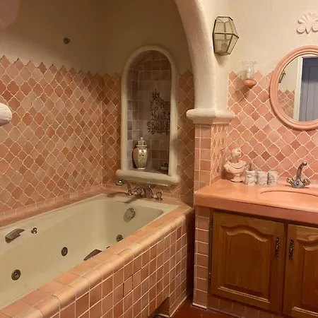 Somptuous Exotic In ヴィラ カンヌ