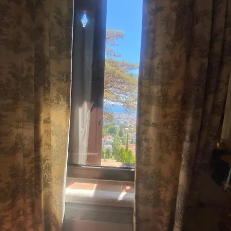 Somptuous Exotic In * カンヌ