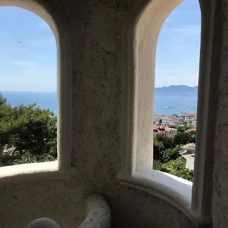 Somptuous Exotic In Cannes