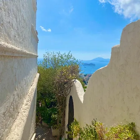 Villa Somptuous Exotic In *