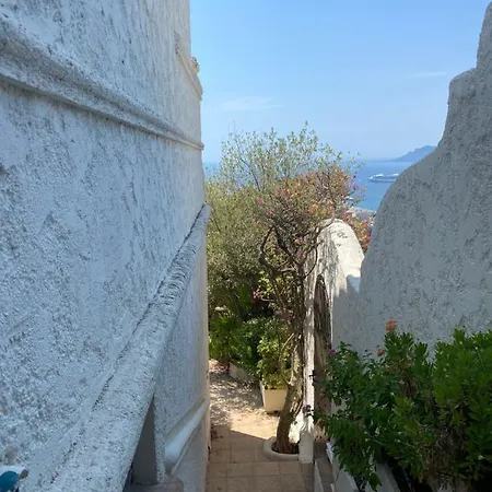 Somptuous Exotic In ヴィラ *