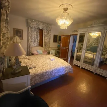 Somptuous Exotic In *