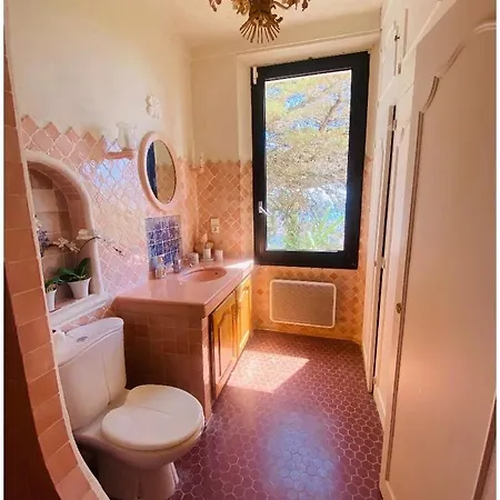 Villa Somptuous Exotic In Cannes