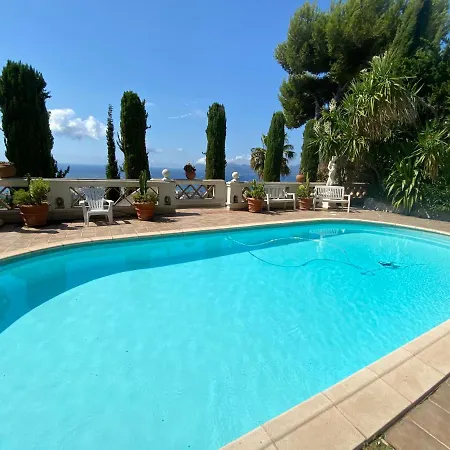 Somptuous Exotic In Cannes