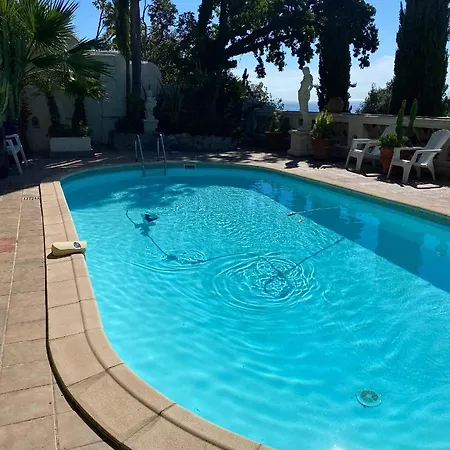 Villa Somptuous Exotic In Cannes