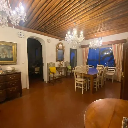 Somptuous Exotic In *