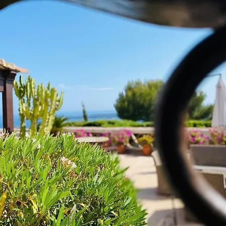 Somptuous Exotic In Cannes