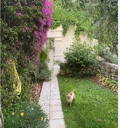 Villa Somptuous Exotic In *