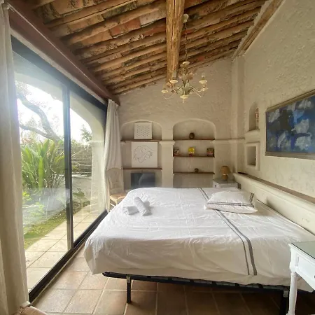 Somptuous Exotic In *