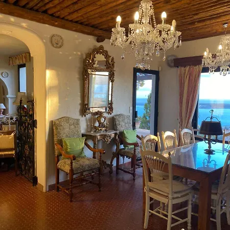 Somptuous Exotic In * Cannes