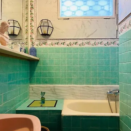 Somptuous Exotic In *