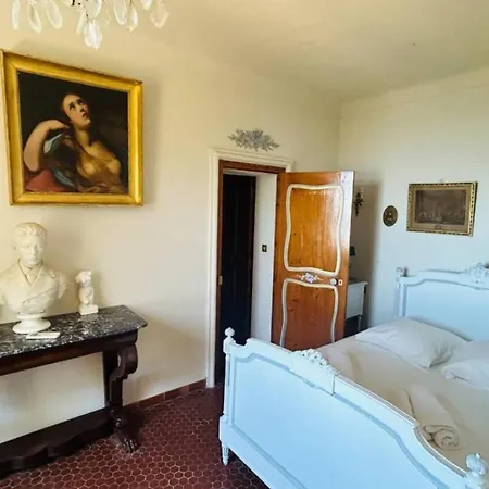 Villa Somptuous Exotic In Cannes