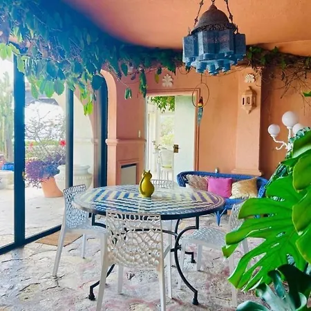 Somptuous Exotic In *