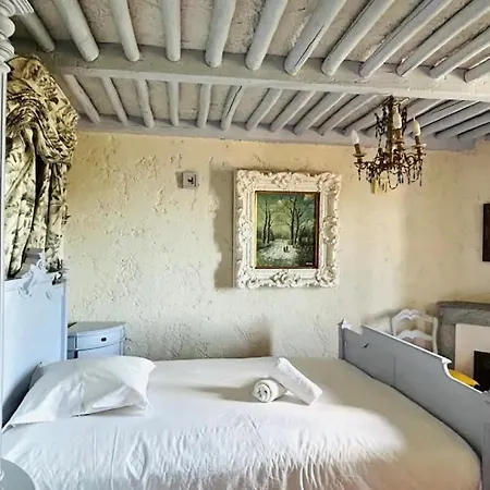 Somptuous Exotic In Cannes