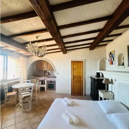 Villa Somptuous Exotic In Cannes