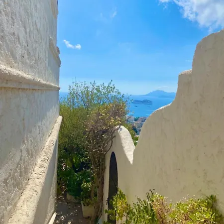 Somptuous Exotic In Villa Cannes