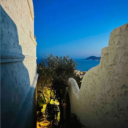 Somptuous Exotic In *