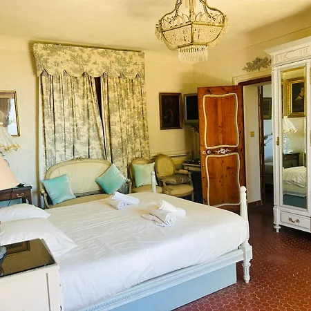 Somptuous Exotic In * Cannes