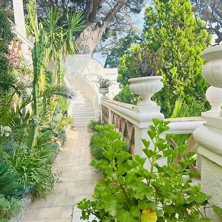 Somptuous Exotic In *