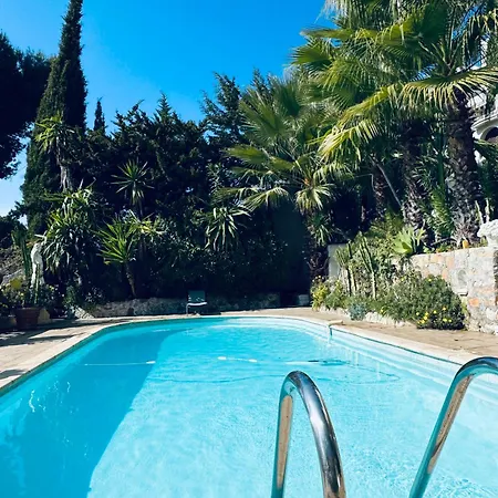 Villa Somptuous Exotic In Cannes