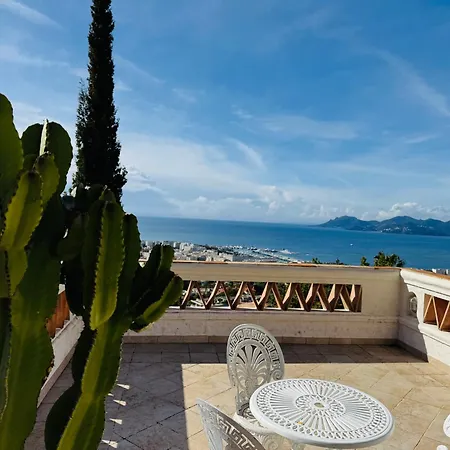 Somptuous Exotic In *