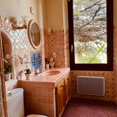 Somptuous Exotic In * 戛纳