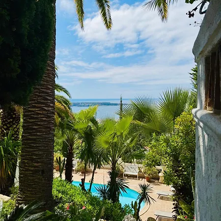 Somptuous Exotic In *