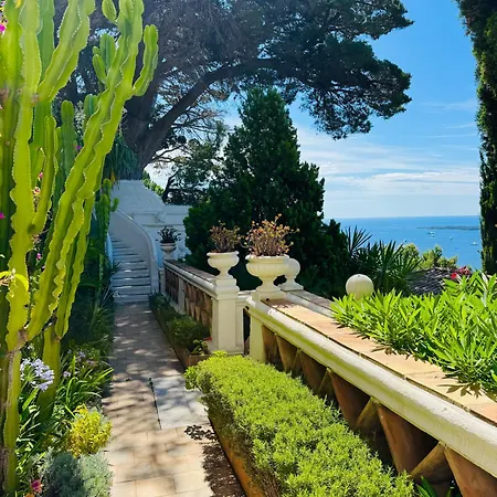 Somptuous Exotic In Villa Cannes