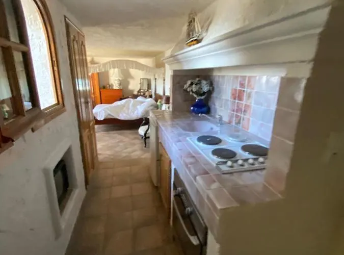 Somptuous Exotic In * Cannes