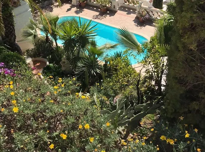 Somptuous Exotic In *