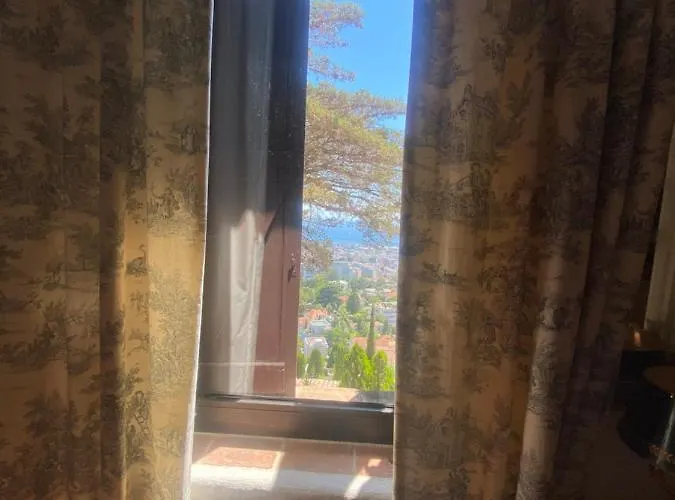 Somptuous Exotic In * Κάννες