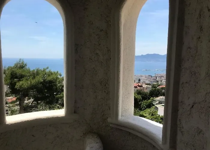 Somptuous Exotic In Cannes