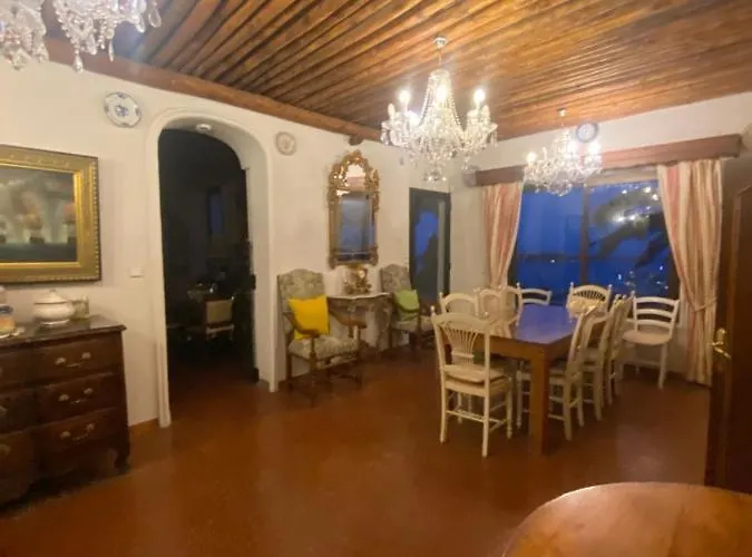 Somptuous Exotic In *