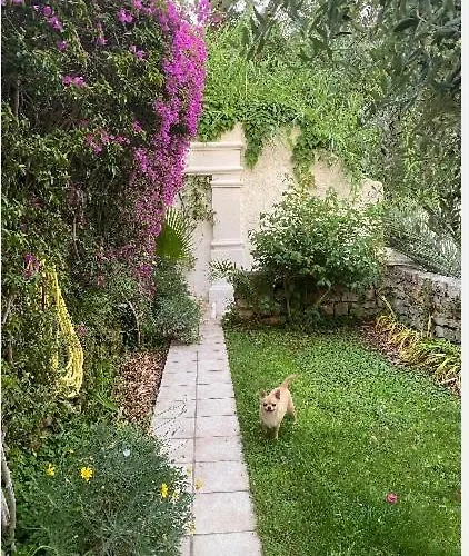 Villa Somptuous Exotic In *