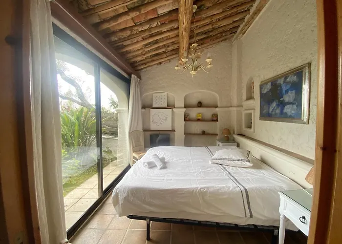 Somptuous Exotic In *