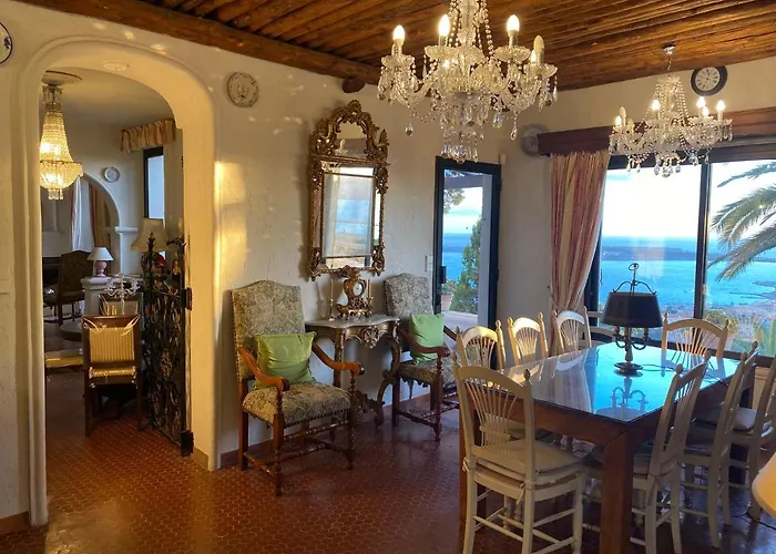 Somptuous Exotic In * Cannes