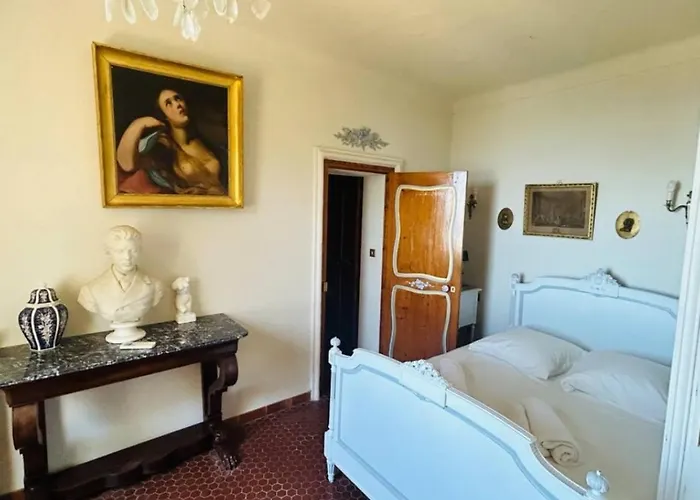 Villa Somptuous Exotic In Cannes