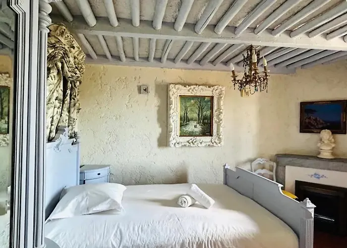 Somptuous Exotic In Cannes