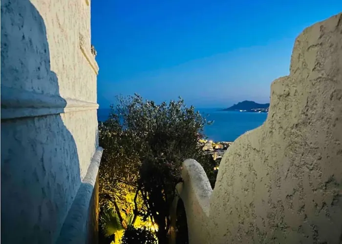 Somptuous Exotic In *