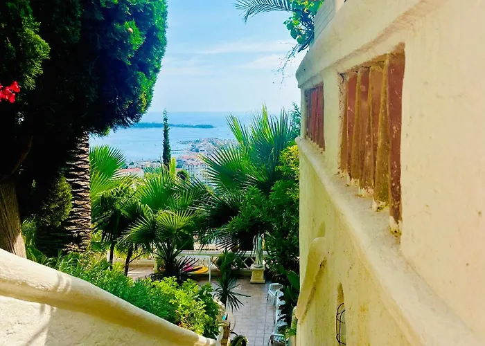 Villa Somptuous Exotic In Cannes