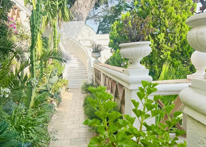 Somptuous Exotic In *