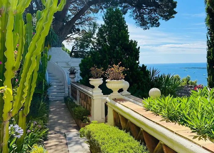 Somptuous Exotic In Villa Cannes