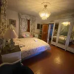 Somptuous Exotic In *