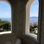 Somptuous Exotic In Cannes