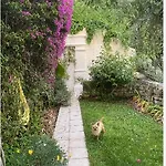 Villa Somptuous Exotic In *