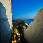 Somptuous Exotic In *